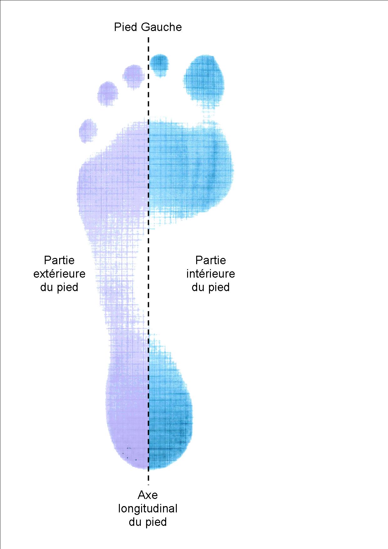 Pronation définition clearance